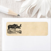 Étiquette Vintage 1800s American Moose Illustration Modèle (En situation)