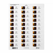 Étiquette Vintage Halloween Kitten (Feuille entière)