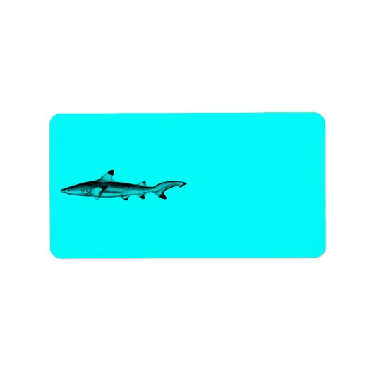 Étiquette Vintage Reef Shark Illustration Neon Teal Blue (Devant)
