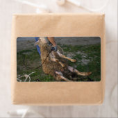 Étiquette Vis du mouton (En situation)