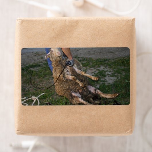 Étiquette Vis du mouton (En situation)