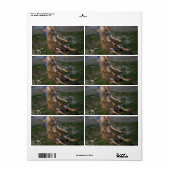 Étiquette Vis du mouton (Feuille entière)