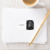 Étiquette visage du chien de collier (En situation)