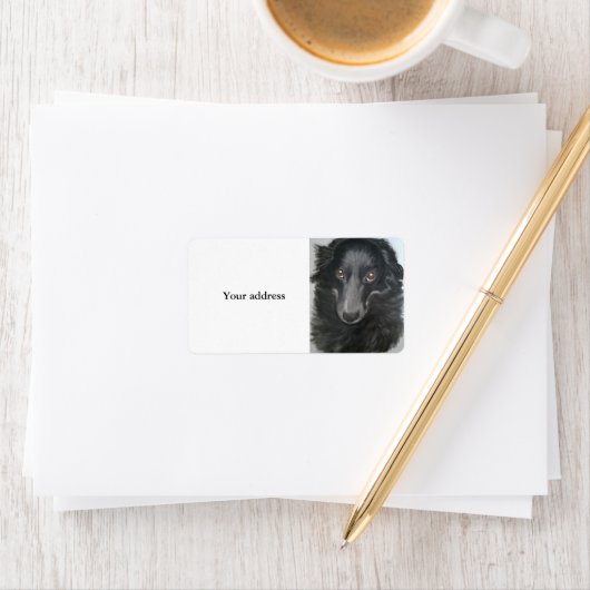 Étiquette visage du chien de collier (En situation)