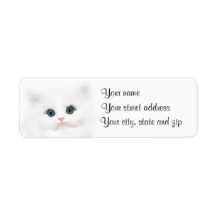 Étiquette Visage persan blanc de chaton