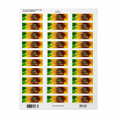 ÉTIQUETTE VIVID SUNFLOWER II (Feuille entière)