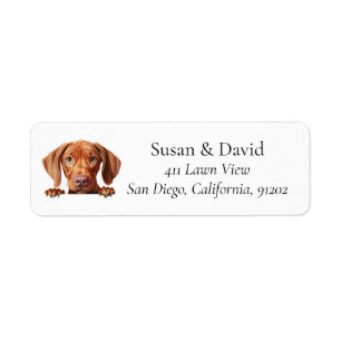 Étiquette Vizsla Chien race Amateurs d'animaux domestiques