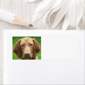 Étiquette vizsla.png (En situation)