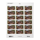 Étiquette Voiture de coffre (Feuille entière)