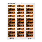 Étiquette Vols d'anciens combattants Rangers aéroportés LRRP (Feuille entière)