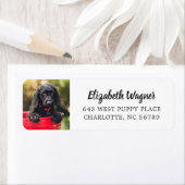 Étiquette Votre animal de compagnie simple et moderne photo  (En situation)