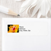 Étiquette Vue latérale de l'Hibiscus orange (En situation)