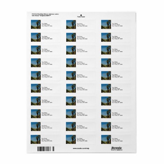 Étiquette Vue Palm Springs (Feuille entière)