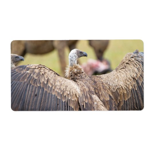 Étiquette Vulture (Devant)
