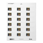 Étiquette wapiti éclaboussant dans l'eau (Feuille entière)