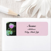 Étiquette Water Lily Photo Belle rose pourpre fleurie (En situation)
