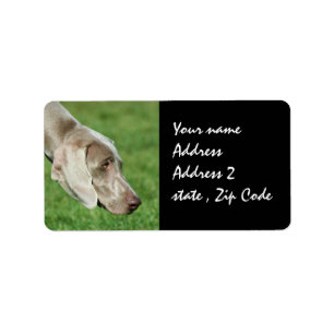 Étiquette Weimaraner
