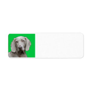 Étiquette weimaraner 2