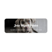 Étiquette Weimaraner Chien Thème Animaux Animaux Cool Simple (Devant)