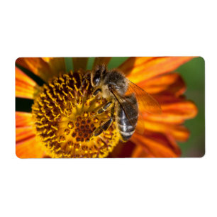 Étiquette Western Honey Bee Macro photo