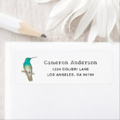 Étiquette White-chested Emerald Hummingbird (En situation)