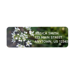Étiquette White Flowers Delicate Floral Blossom Nature Photo