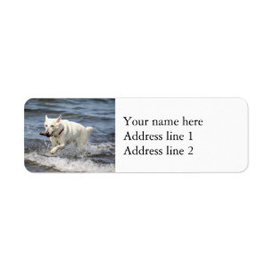 Étiquette White German Shepard sur le lac George