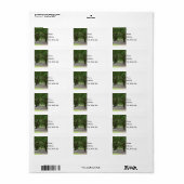 Étiquette White Point Gardens (Feuille entière)