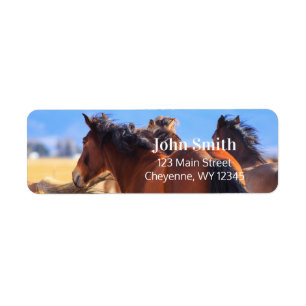 Étiquette Wild Horses Return Adresse