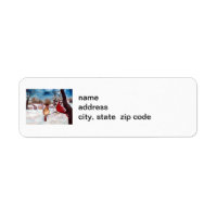 Winters Serenity Cardinal Postage