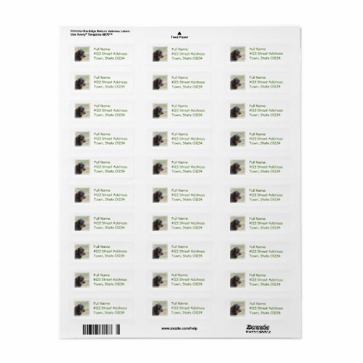 Étiquette Wire Haired Daschund Chien (Feuille entière)