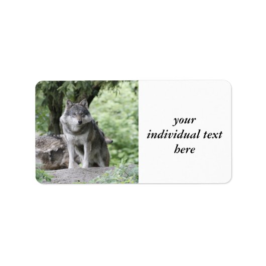 Étiquette Wolf 14AJ (Devant)