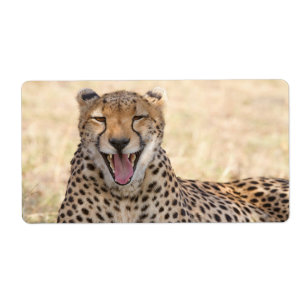 Étiquette Yawning Cheetah