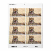 Étiquette Yawning Cheetah (Feuille entière)