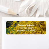 Étiquette Yellow Forsythia Fleurs Orton Adresse de l'effet (En situation)