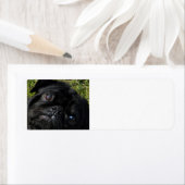 Étiquette yeux à carlin noir (En situation)