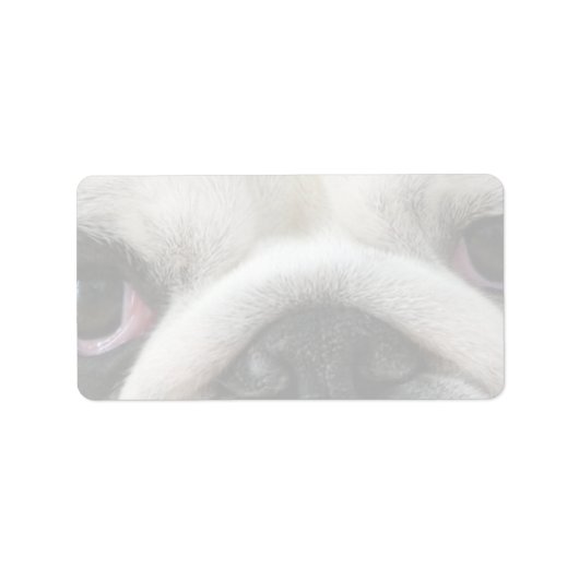 Étiquette Yeux de Bouledogue (Devant)