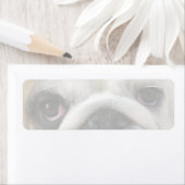 Étiquette Yeux de Bouledogue (En situation)