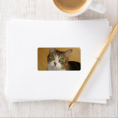 Étiquette Yeux de chat (En situation)