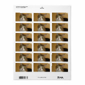 Étiquette Yeux de chat (Feuille entière)