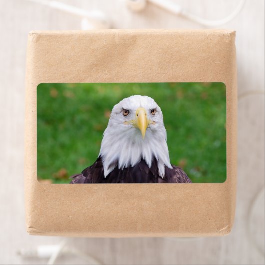 Étiquette Yeux d'un aigle (En situation)