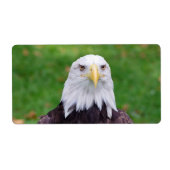 Étiquette Yeux d'un aigle (Devant)