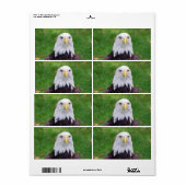 Étiquette Yeux d'un aigle (Feuille entière)