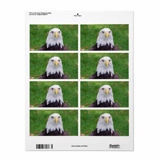 Étiquette Yeux d'un aigle (Feuille entière)