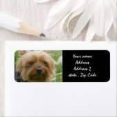 Étiquette Yorkshire Terrier (En situation)