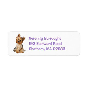 Étiquette Yorkshire Terrier Chien Chien Chien Chien Cote Yor