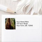 Étiquette Yosemite séquoia (En situation)