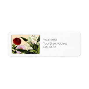 Étiquette Zinnia & Ginger, Botanics Adresse de retour