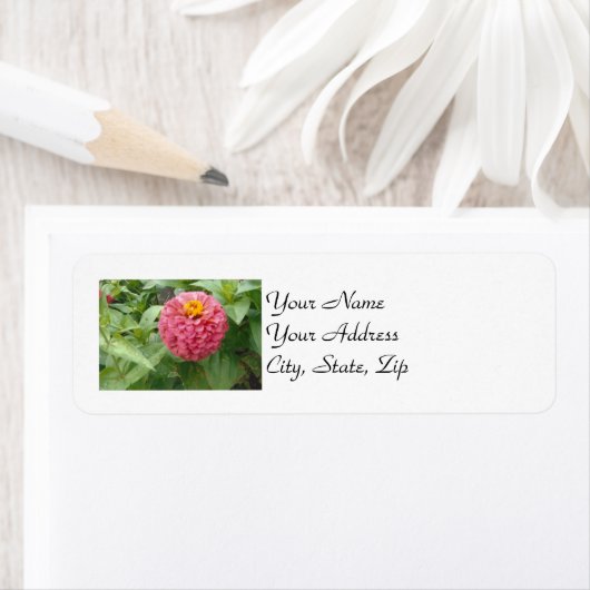 Étiquette Zinnia rose (En situation)