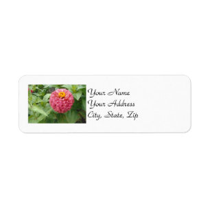 Étiquette Zinnia rose